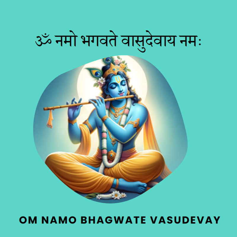 Om Namo Bhagwate Vasudevay (ॐ नमो भगवते वासुदेवाय नमः)